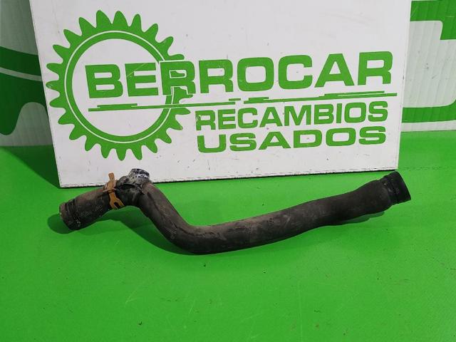 Mangueira (cano derivado) do radiador de esfriamento superior 8200335745 RENAULT