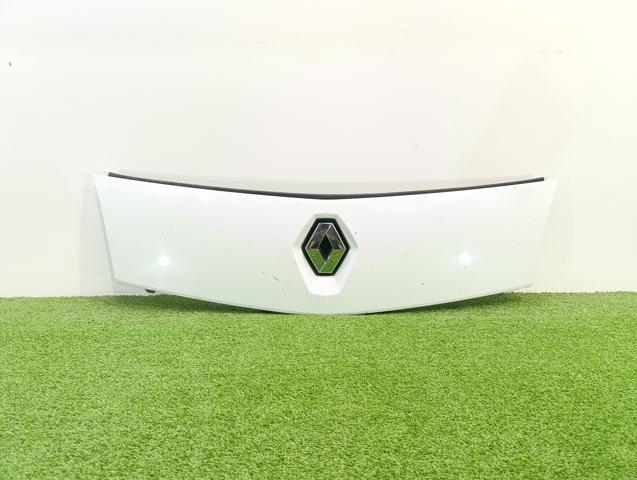 8200499017 Renault (RVI)