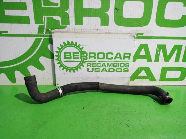 Mangueira (cano derivado) do radiador de esfriamento superior 8200795019 RENAULT