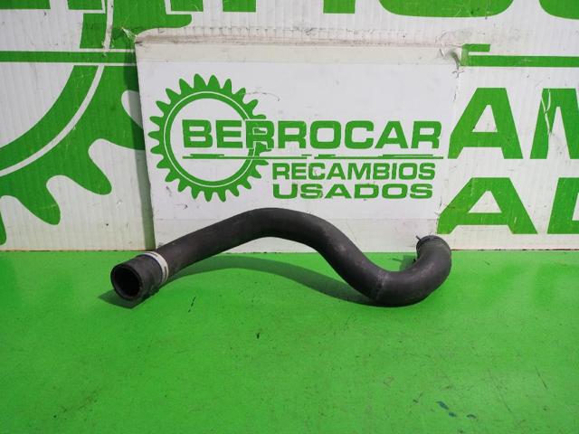 Mangueira (cano derivado) inferior do radiador de esfriamento 8200907247 RENAULT