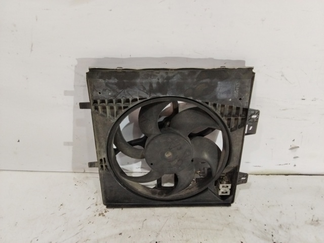 8240503FR Peugeot/Citroen