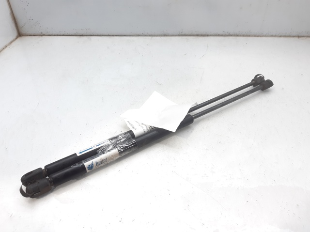 844300001R Renault (RVI)