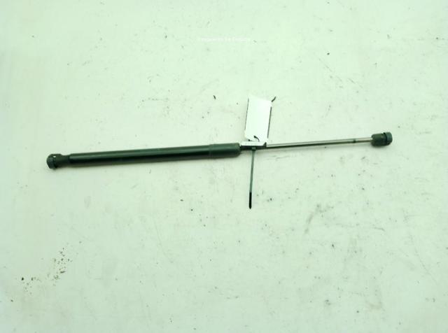 Amortecedor de tampa de porta-malas (de 3ª/5ª porta traseira) 844300009R RENAULT