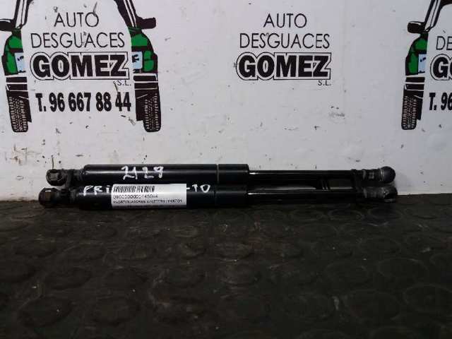 Amortecedor de tampa de porta-malas (de 3ª/5ª porta traseira) 844302F000 NISSAN