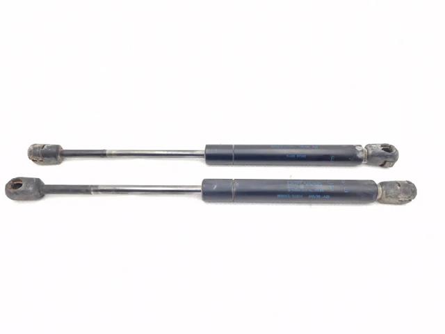 Amortecedor de tampa de porta-malas (de 3ª/5ª porta traseira) 844309F500 NISSAN