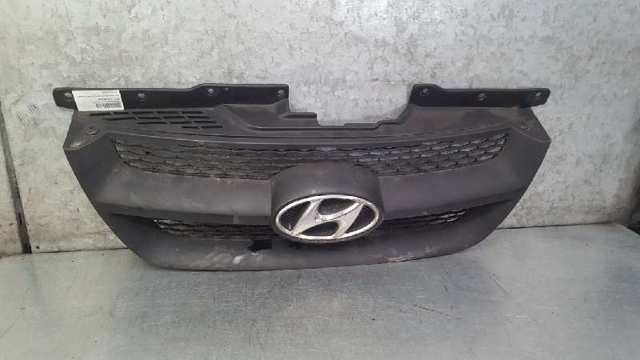 Grelha do radiador para Hyundai Sonata NF