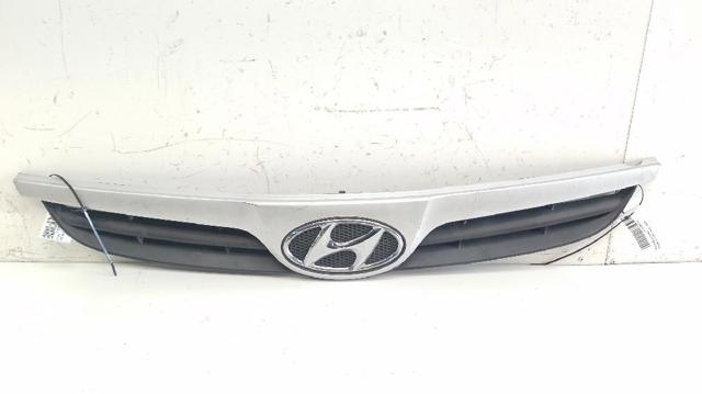 Grelha do radiador Hyundai I20  PB ao melhor preço