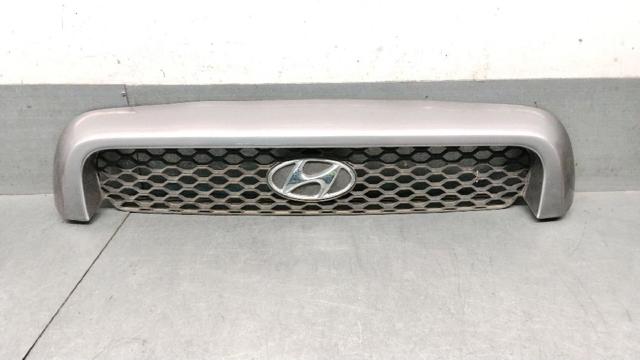 Grelha do radiador para Hyundai Santa Fe SM