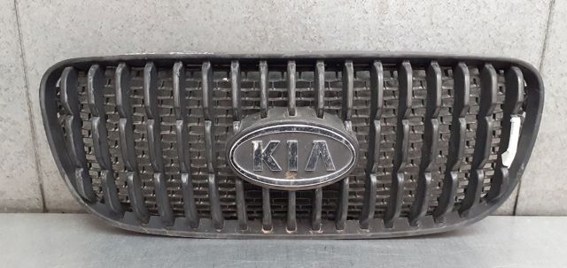 Grelha do radiador 8636007010 HYUNDAI