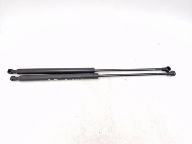 Amortecedor de tampa de porta-malas (de 3ª/5ª porta traseira) 8731000000 PEUGEOT
