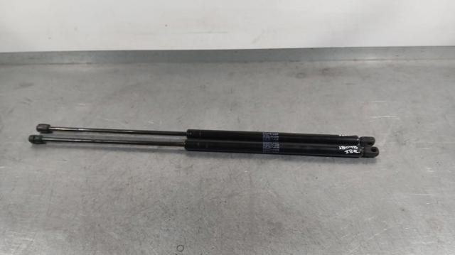 8731E0 Peugeot/Citroen