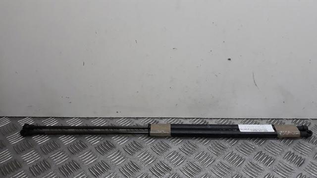Amortecedor de tampa de porta-malas (de 3ª/5ª porta traseira) 8731E9 PEUGEOT