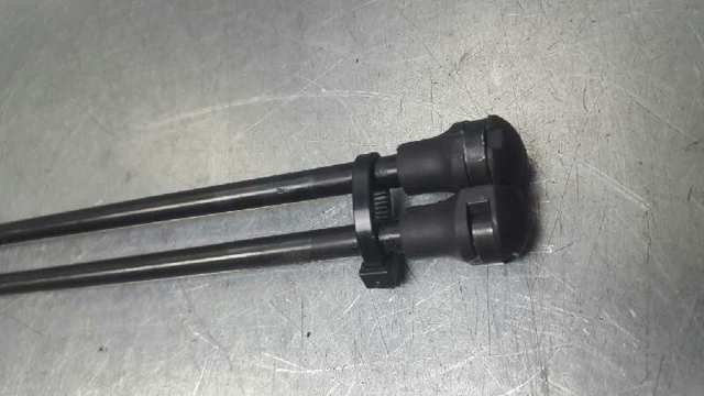 Amortecedor de tampa de porta-malas (de 3ª/5ª porta traseira) 8731G9 PEUGEOT
