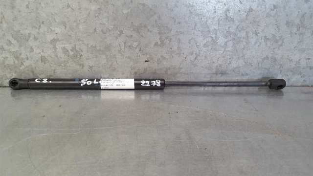 Amortecedor de tampa de porta-malas (de 3ª/5ª porta traseira) 8731H8 PEUGEOT