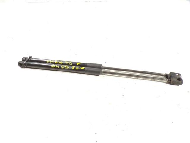 Amortecedor de tampa de porta-malas (de 3ª/5ª porta traseira) 8731T4 PEUGEOT