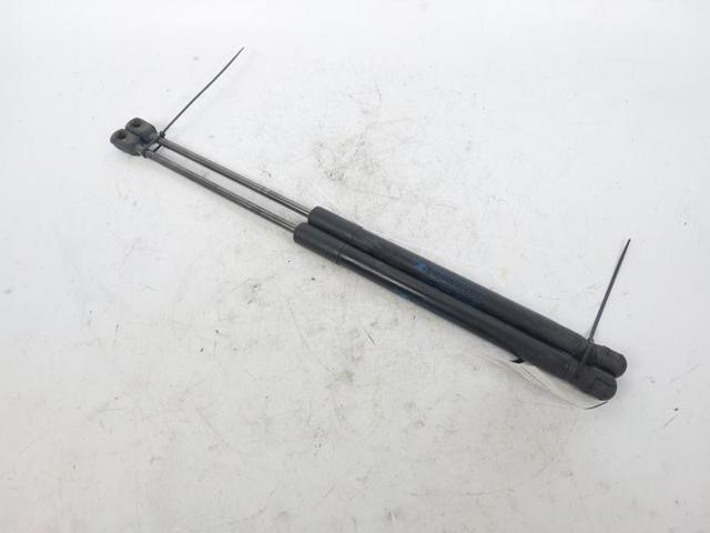 Amortecedor de tampa de porta-malas (de 3ª/5ª porta traseira) 8731T4 PEUGEOT