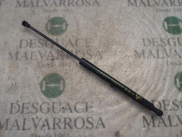 Amortecedor de tampa de porta-malas (de 3ª/5ª porta traseira) 8731T9 PEUGEOT