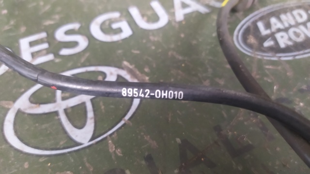 Sensor dianteiro de ABS 895420H010 TOYOTA