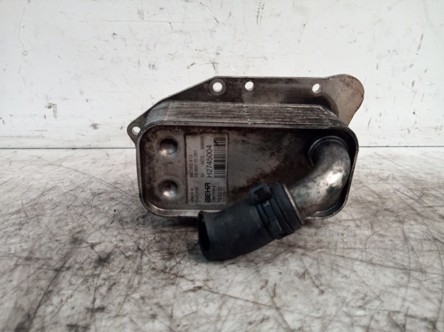 897385813 Opel