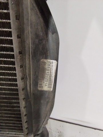Radiador de esfriamento de motor 8E0121251A VAG