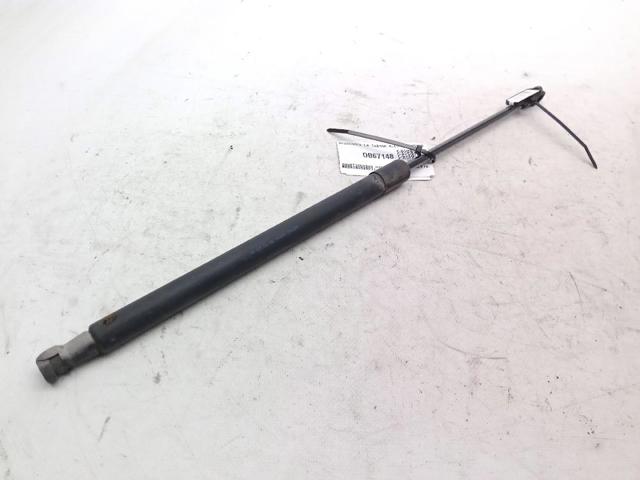 Amortecedor de tampa de porta-malas (de 3ª/5ª porta traseira) 8P3827552D VAG