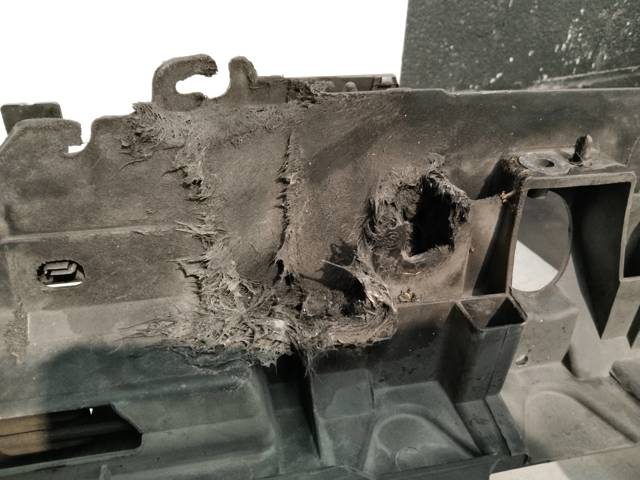 Suporte do radiador montado (painel de montagem de fixação das luzes) 8V51A16E146CB FORD