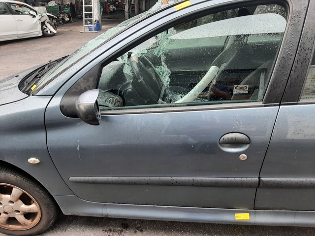 9002K5 Peugeot/Citroen