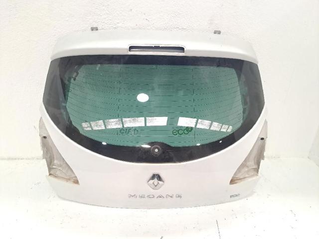901001260R Renault (RVI)