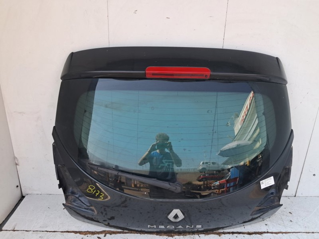 901001260R Renault (RVI)