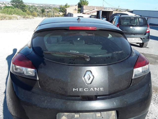 901001261R Renault (RVI)