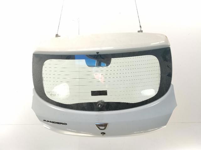 901003145R Renault (RVI)