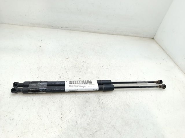 904500004R Renault (RVI)