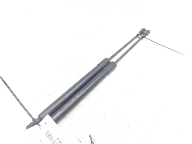 904502915R Renault (RVI)