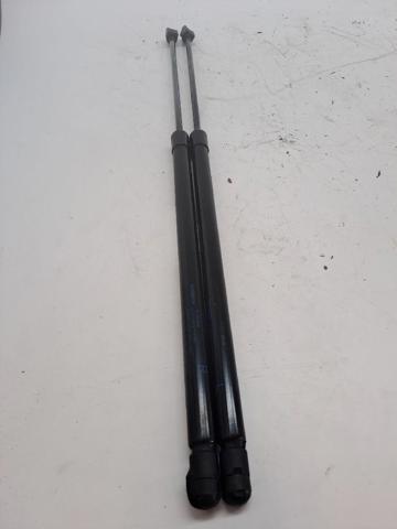 Amortecedor de tampa de porta-malas (de 3ª/5ª porta traseira) 904503VV0B NISSAN