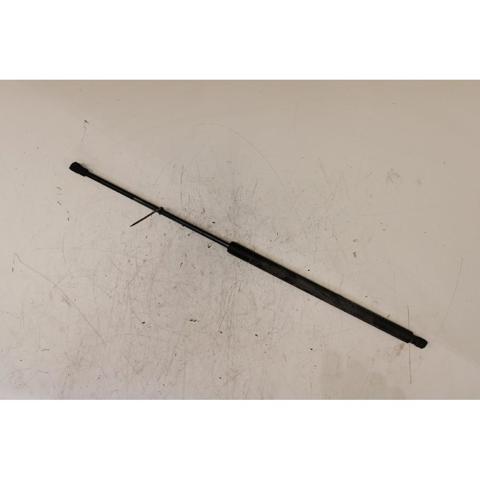 904505599R Renault (RVI)