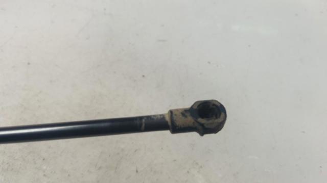 904506697R Renault (RVI)