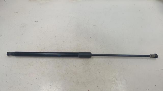 904506697R Renault (RVI)