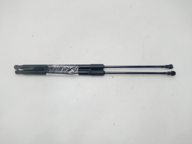 904506697R Renault (RVI)