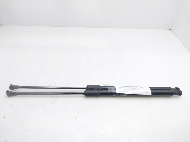 904506697R Renault (RVI)