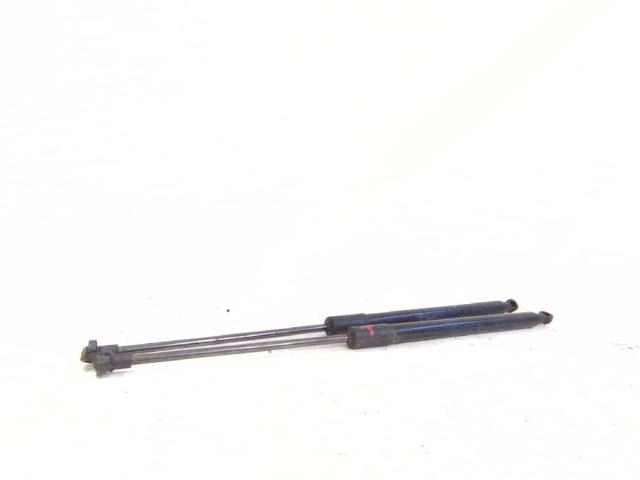 Amortecedor de tampa de porta-malas (de 3ª/5ª porta traseira) 904509291R RENAULT