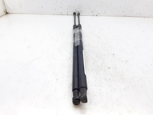 Amortecedor de tampa de porta-malas (de 3ª/5ª porta traseira) 904509U00C NISSAN