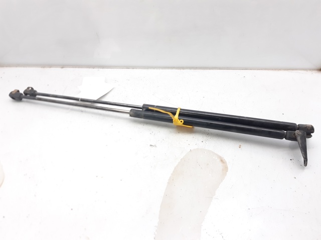 Amortecedor de tampa de porta-malas (de 3ª/5ª porta traseira) 90450JG40B NISSAN