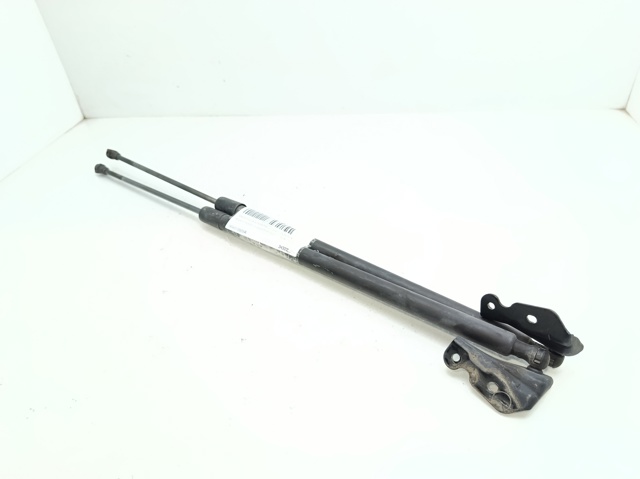 904510005R Renault (RVI)