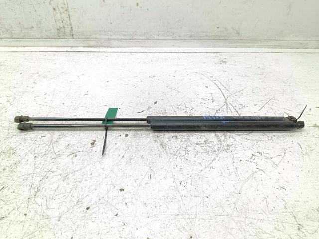 Amortecedor de tampa de porta-malas (de 3ª/5ª porta traseira) 904513981R RENAULT