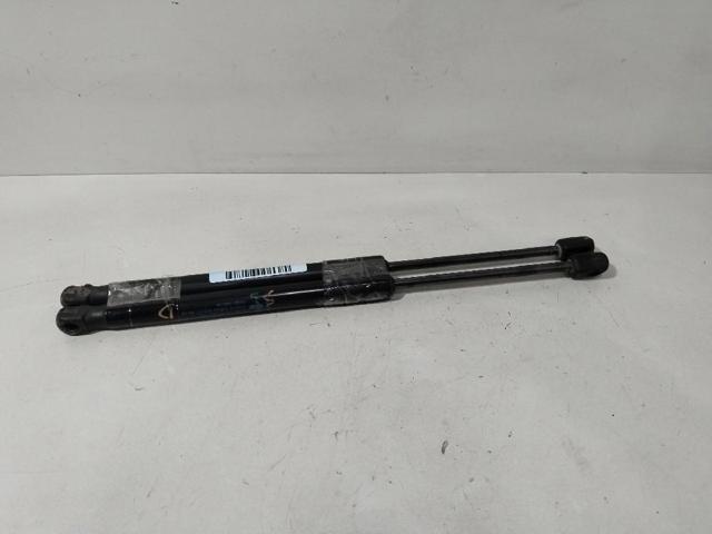 Amortecedor de tampa de porta-malas (de 3ª/5ª porta traseira) 904513NL1A NISSAN