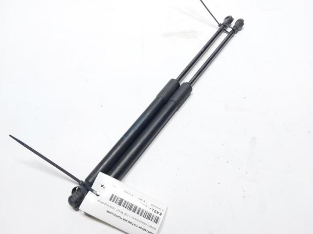904514584R Renault (RVI)