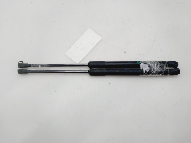 904516026R Renault (RVI)