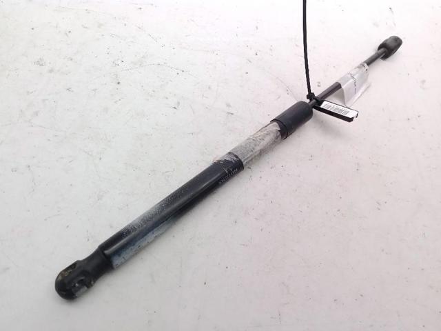 Amortecedor de tampa de porta-malas (de 3ª/5ª porta traseira) 904520004R RENAULT