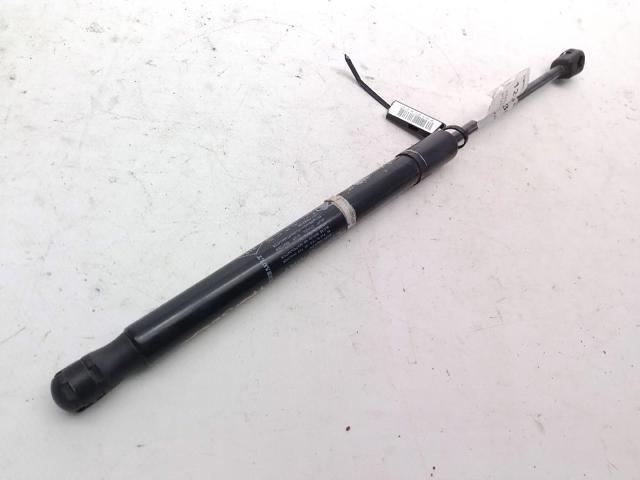Amortecedor de tampa de porta-malas (de 3ª/5ª porta traseira) 904520004R RENAULT
