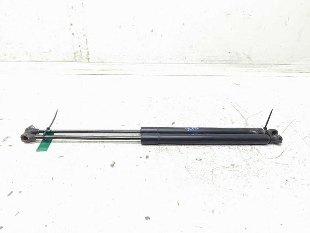 Amortecedor de tampa de porta-malas (de 3ª/5ª porta traseira) 904528093R RENAULT